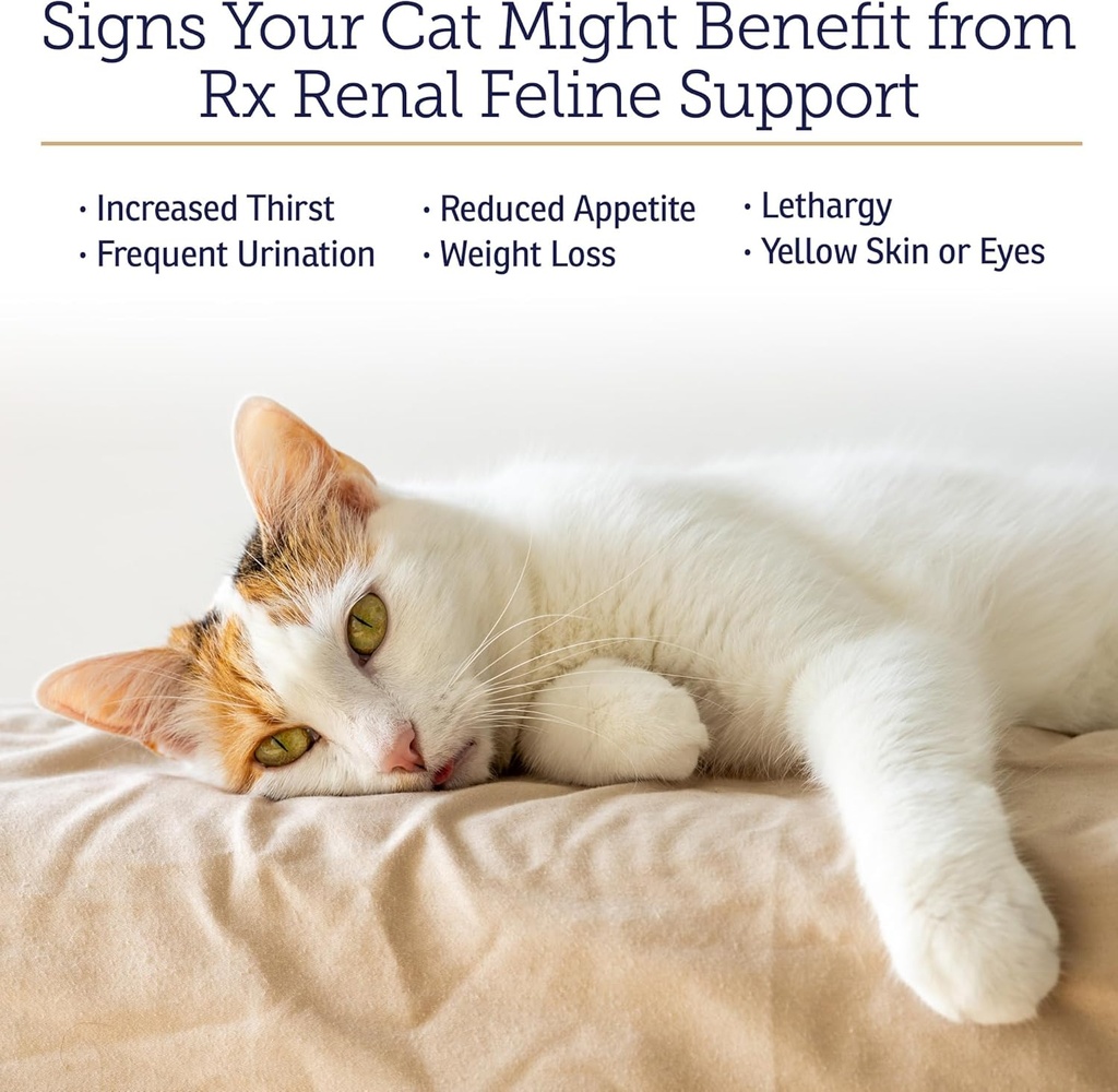 rx-vitamins-renal-feline---cat-kidney-su-3.jpg