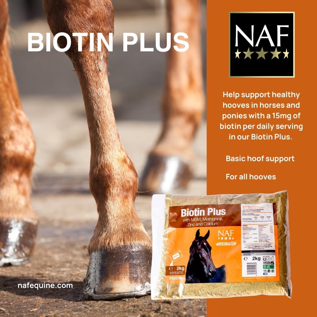 naf-biotin-plus-refill-3.jpg