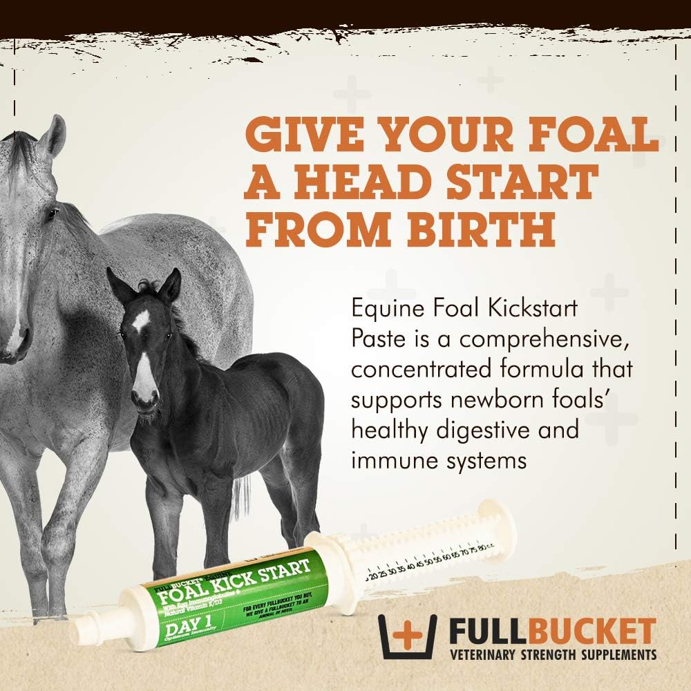 fullbucket-equine-foal-kickstart-paste-i-2.jpg