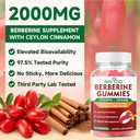 premium-berberine-gummies-2000mg-high-po-6.jpg