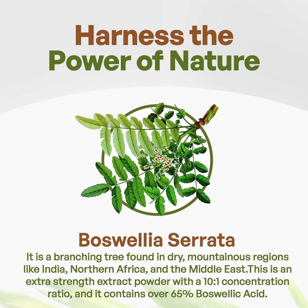 go-nutra-boswellia-serrata-extract-powde-3.jpg