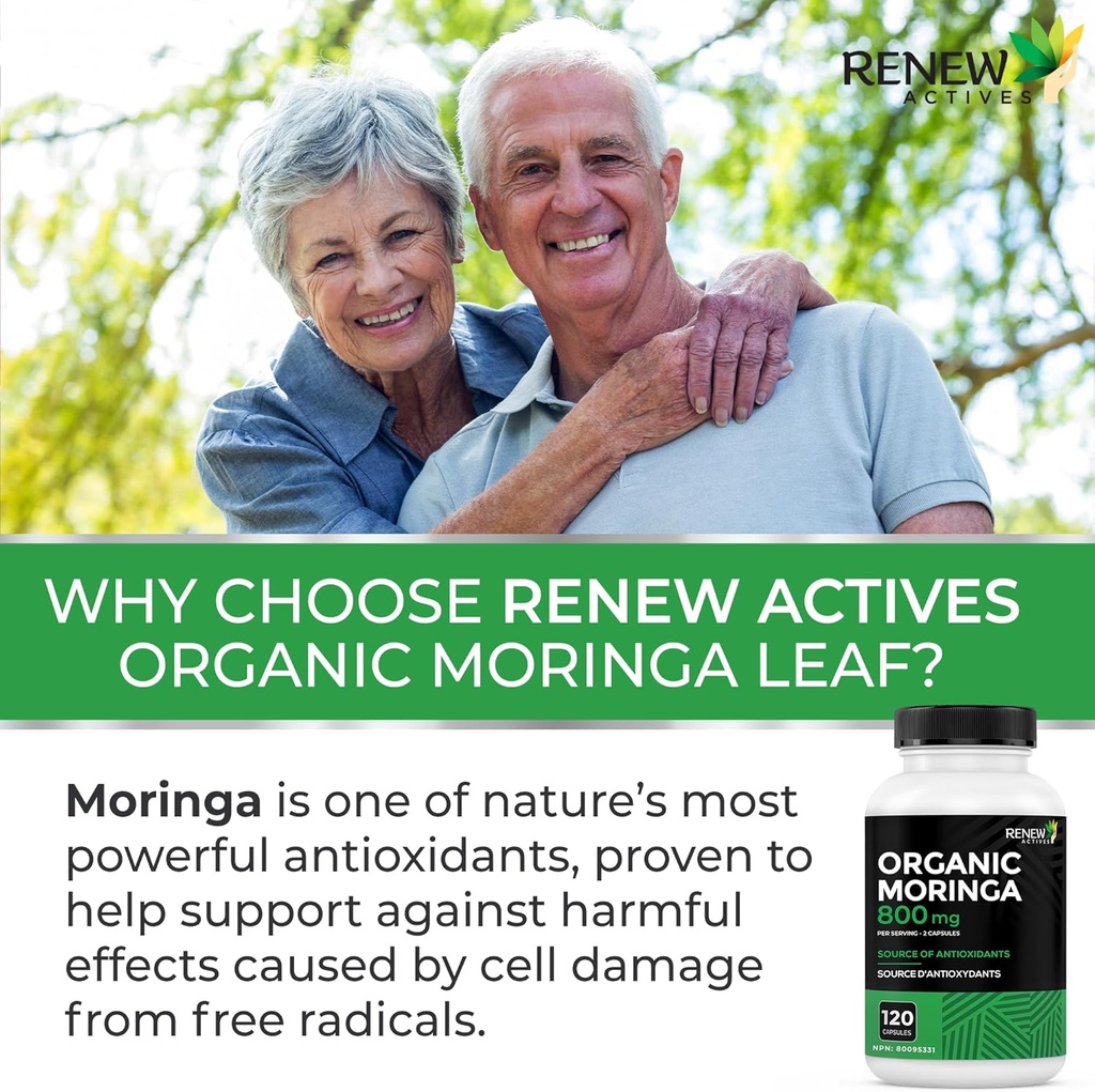 renew-actives-moringa-leaf-supplement-80-5.jpg
