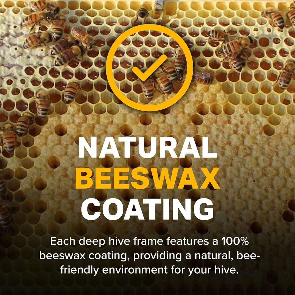 mann-lake-premium-beekeeping-frames-all--3.jpg