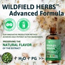 ginkgo-biloba-extract-drops-liquid-2000m-6.jpg