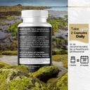 sea-moss-black-seed-oil-ashwagandha-turm-6.jpg