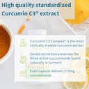 igennus-advanced-curcumin-c3-complex-300-4.jpg