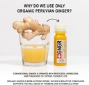 gngr-immunity-aid-organic-ginger-lemon-h-4.jpg