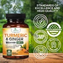 turmeric-curcumin-supplement-2600mg---wi-4.jpg