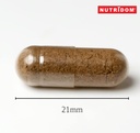 nutridom-saw-palmetto-500mg-non-gmo-vega-5.jpg