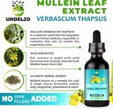 undelios-herbal-mullein-leaf-extract---o-3.jpg