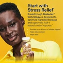 ritual-stress-relief-supplement-shoden-a-3.jpg