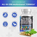sea-moss-black-seed-oil-ashwagandha-burd-6.jpg