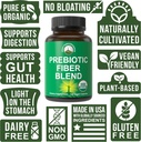 usda-organic-3-in-1-prebiotic-fiber---ve-4.jpg