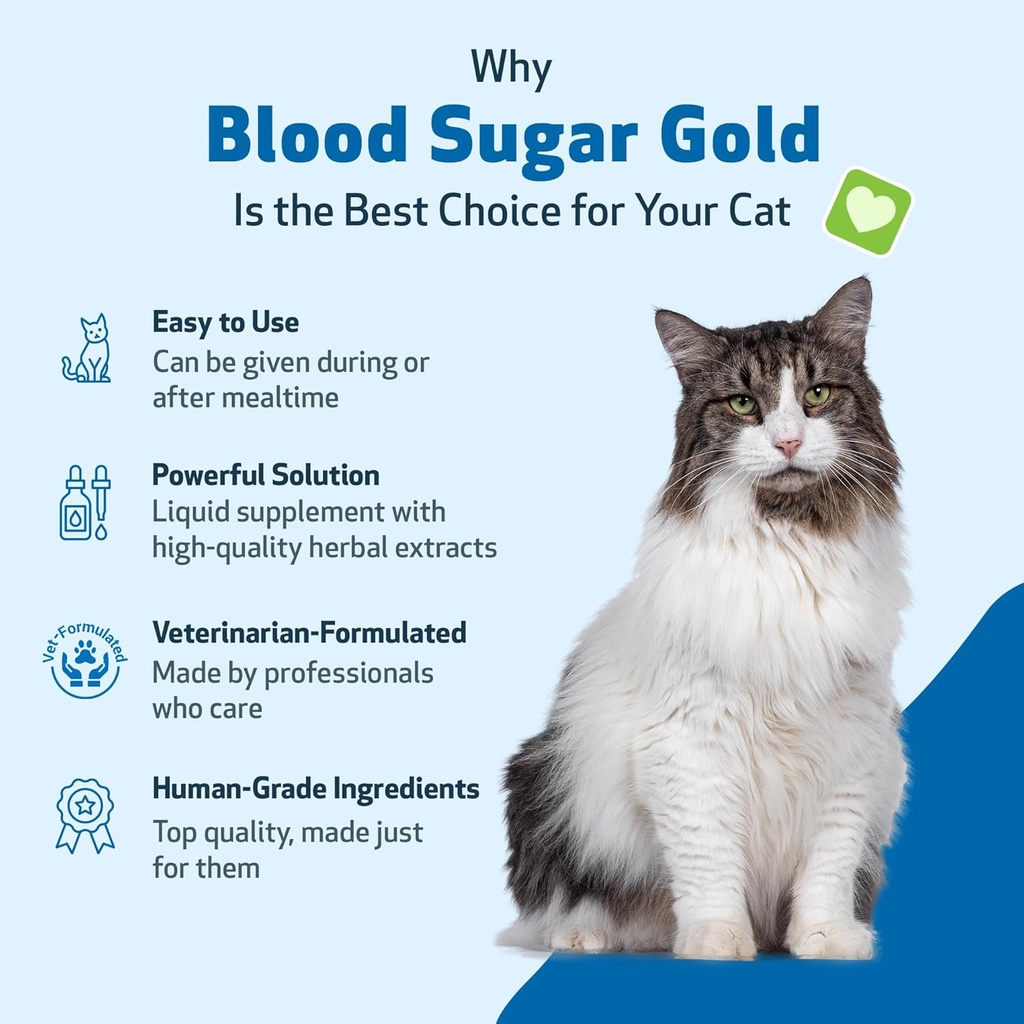 pet-wellbeing---blood-sugar-gold-for-cat-5.jpg