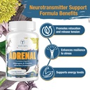 adrenal-support-adaptogens-herbs-supplem-4.jpg