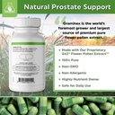 graminex-pollenaid-prostate-supplement-a-6.jpg