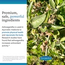 euromedica-ashwagandha-complex---supplem-5.jpg