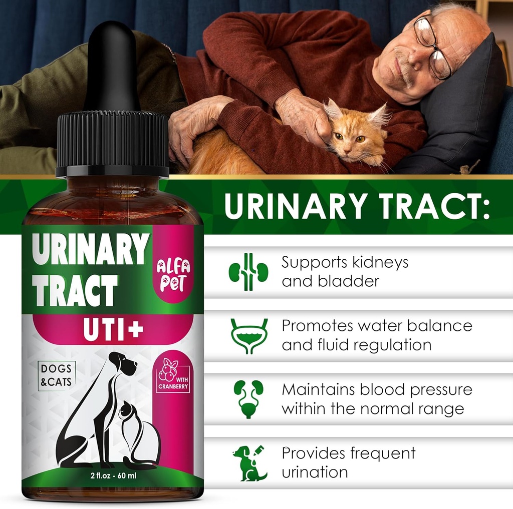 сat-urinary-tract-infection-treatment-wi-2.jpg