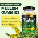 mullein-gummies-for-lung-detox-2000mg-mu-2.jpg