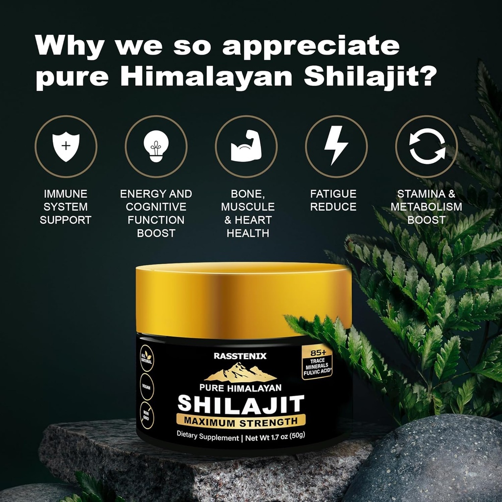 shilajit---pure-himalayan-organic-shilaj-4.jpg