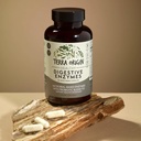 terra-origin-digestive-enzymes-with-prob-2.jpg