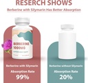 berberine-supplement-1000mg-high-absorpt-6.jpg