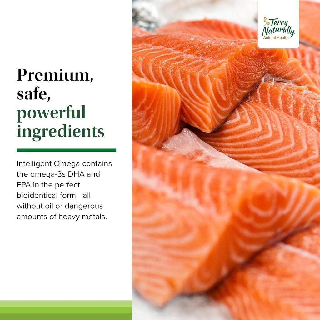 terry-naturally-intelligent-omega---dog--5.jpg