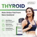 raw-grass-fed-desiccated-bovine-thyroid--2.jpg
