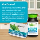 zenwise-health-digestive-enzymes-for-gut-6.jpg
