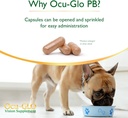 ocu-glo-pb-vision-supplement-for-medium--5.jpg