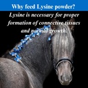 su-per-lysine-supplement-for-horses---su-4.jpg