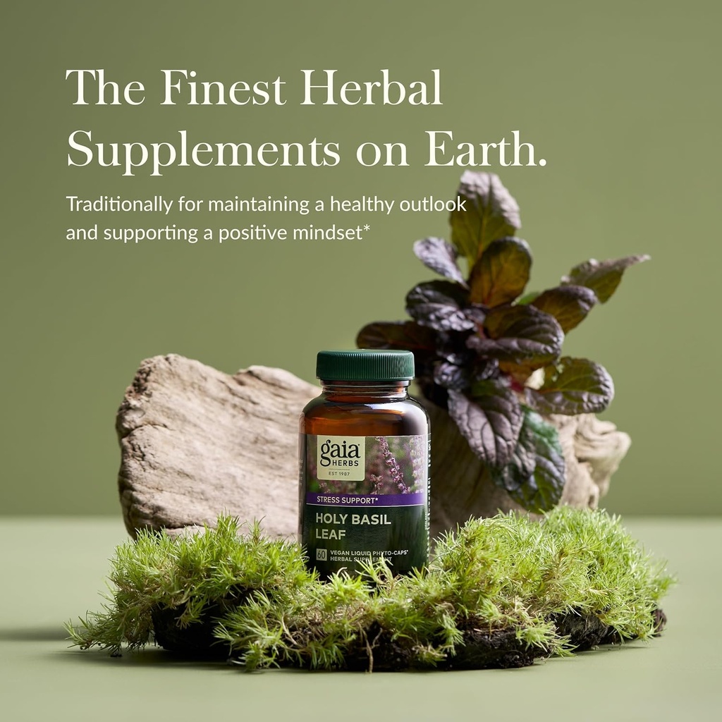 gaia-herbs-holy-basil-leaf---traditional-2.jpg