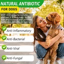 natural-dog-antibiotics-supplement-herba-5.jpg