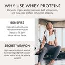 alaya-naturals---grass-fed-whey-protein--4.jpg