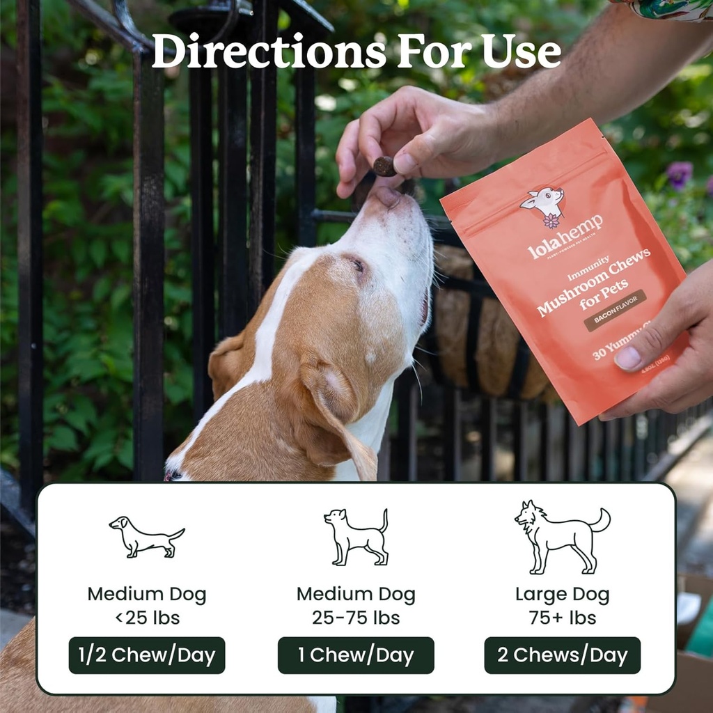 lolahemp-mushroom-supplement-for-dogs----5.jpg