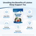 wellamoon-sleep-patches-lulutox-sleep-te-5.jpg