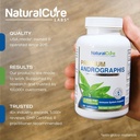natural-cure-labs-premium-andrographis-p-2.jpg