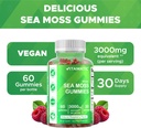 vitamatic-irish-sea-moss-gummies-3000mg--4.jpg