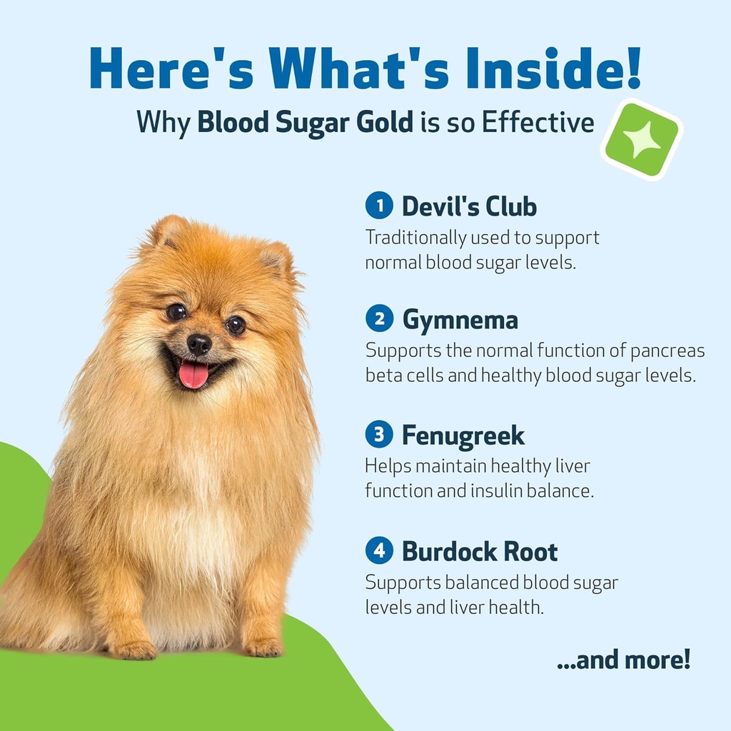 pet-wellbeing-blood-sugar-gold-dogs---ho-6.jpg