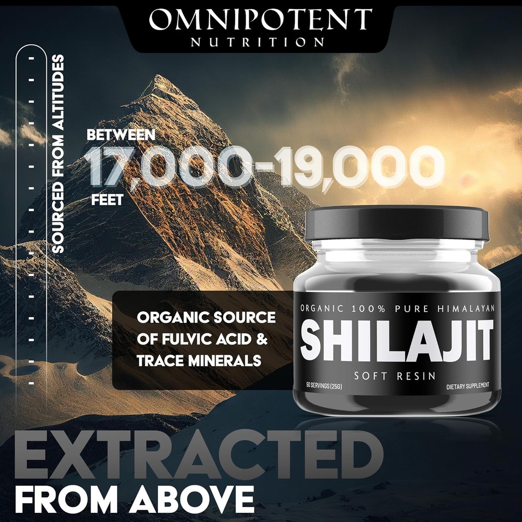 himalayan-shilajit-resin---organic-shila-3.jpg