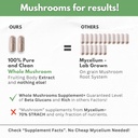 mushroom-supplement-extracts-of-lions-ma-6.jpg