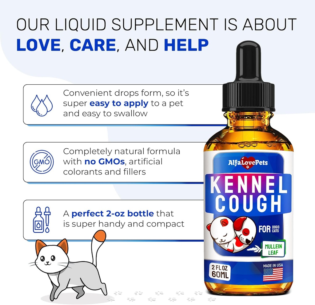 kennel-cough-treatment-for-dogs-cats-dog-6.jpg