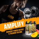 ans-performance-ritual-pre-workout-30-se-3.jpg