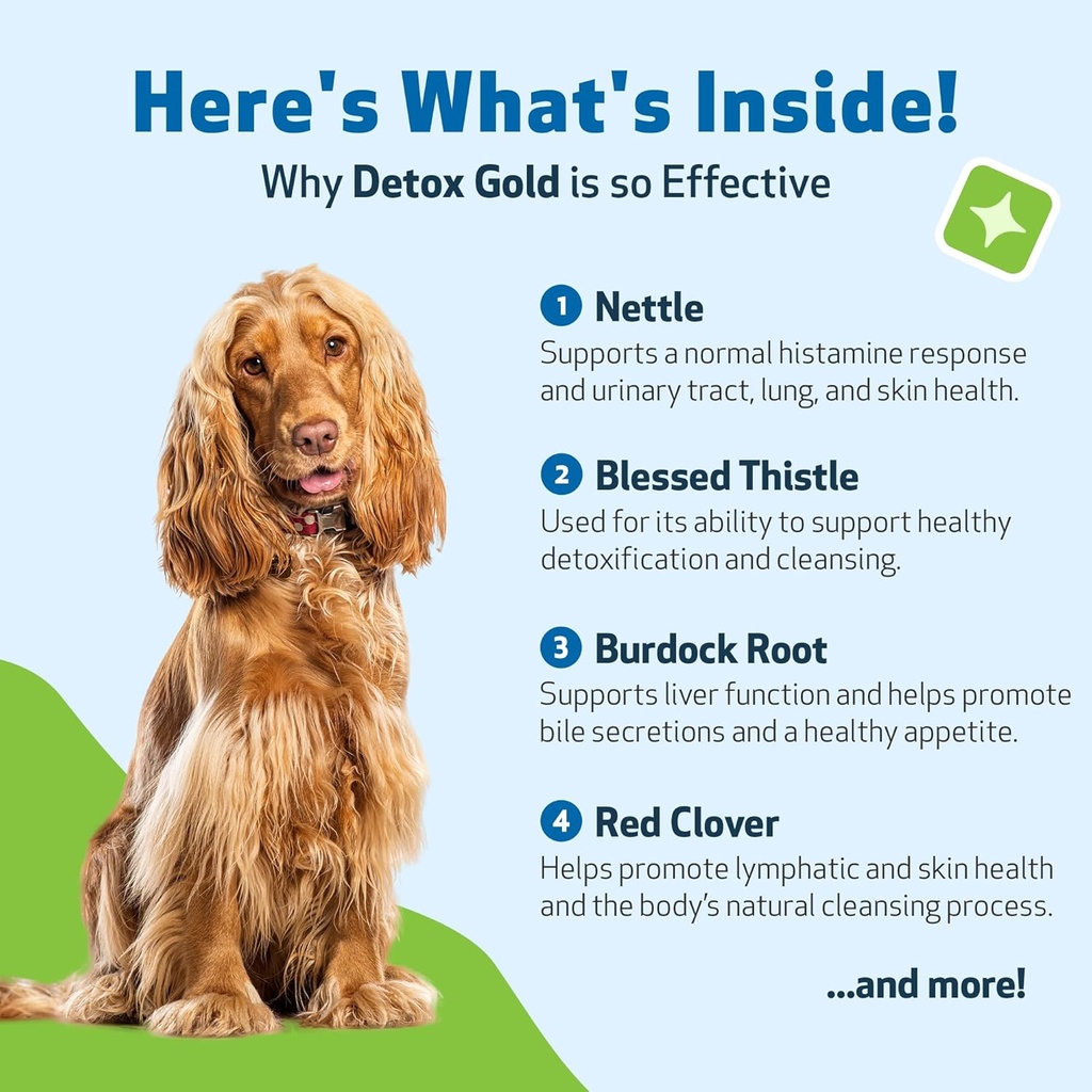 pet-wellbeing-detox-gold-for-dogs---gent-6.jpg