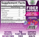 fiber-gummies-for-adults-sugar-free-dail-2.jpg