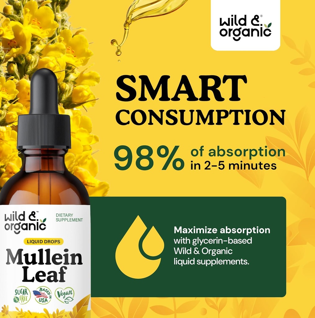 wild-organic-mullein-drops-for-lungs---l-4.jpg