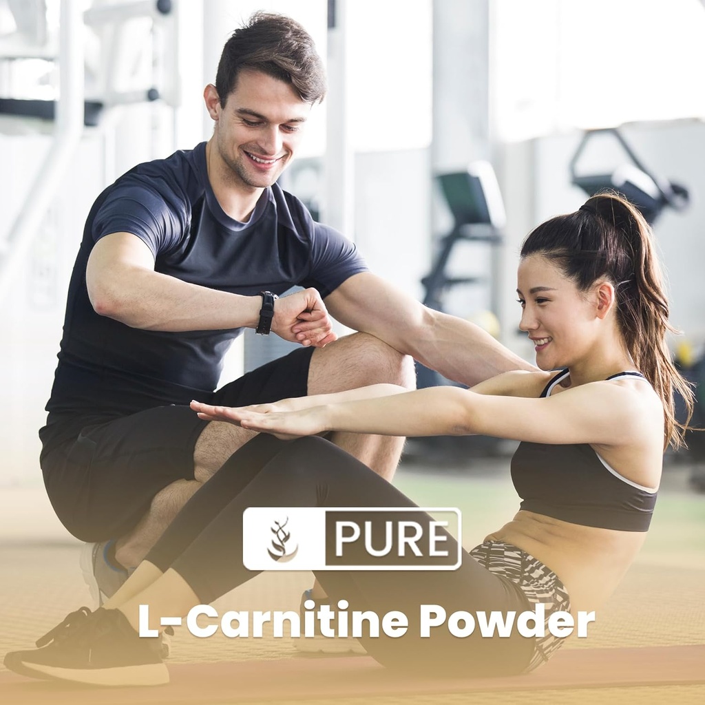 pure-originial-ingredients-l-carnitine-p-4.jpg