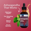 herbana-manufacturing-ashwagandha-liquid-3.jpg