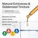 echinacea-with-goldenseal-tincture-2-fl--4.jpg