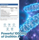 urolithin-a-supplement-1000-mg-180-softg-3.jpg